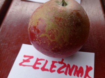 Szkolenie sadownicze w Plichtowie 22.09.2021r. fot. KR.Sosnowska, 
